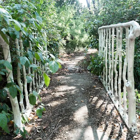 Chez Papy Charles Nyaraló *