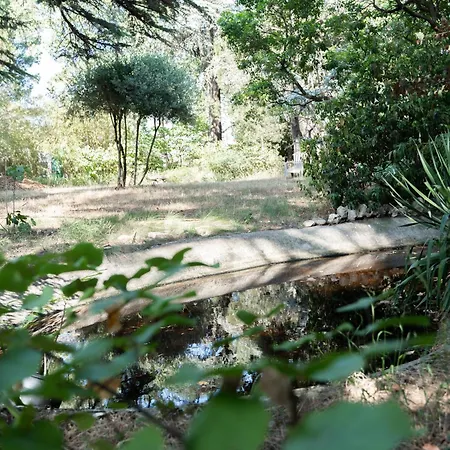 Chez Papy Charles Carcassonne