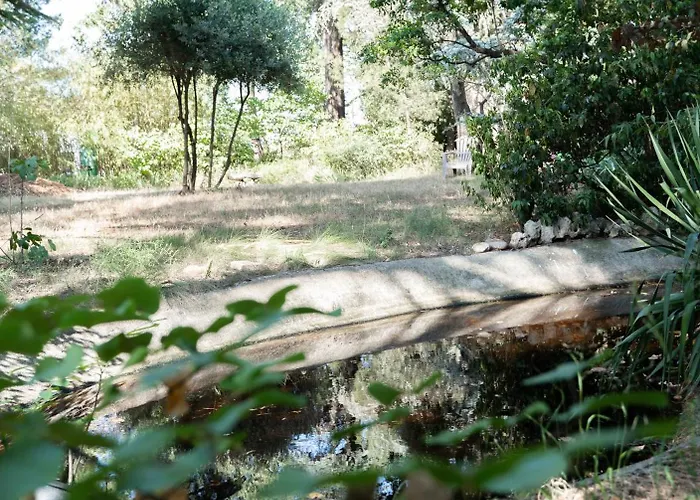 Chez Papy Charles カルカソンヌ